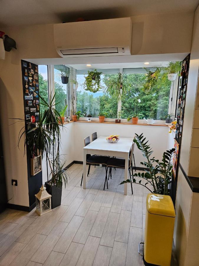 Apartman Carnevalus Rijeka Exterior photo